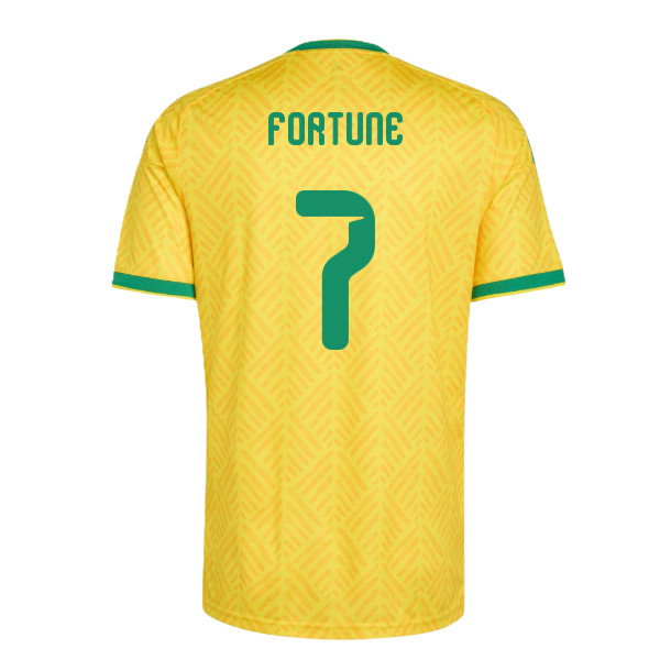 2026-2027 South Africa Home Shirt (Fortune 7)-SoccerKits Hub | Buy Soccer Jerseys Online